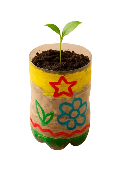Plastic Bottle Planter